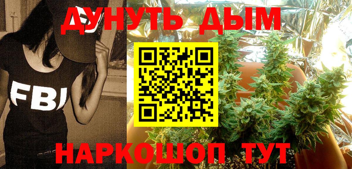 МАРИХУАНА план  Бошки марихуана OG Kush  Пугачёв  Вход с VPN 